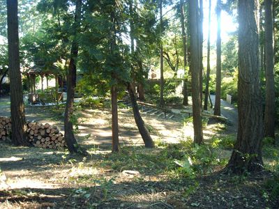 10630 SE 22nd St, Bellevue, WA, 98004
