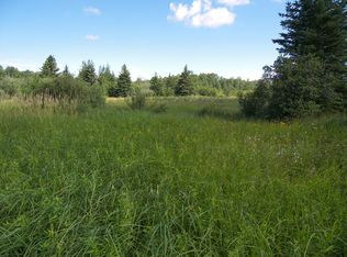 W Eleven Mile Rd, Dafter, MI 49724