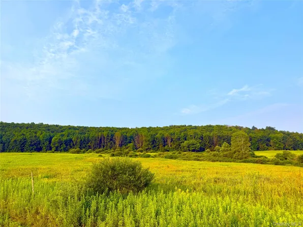 299 WALT PHILLIPS, Call Listing Agent, NY 13460