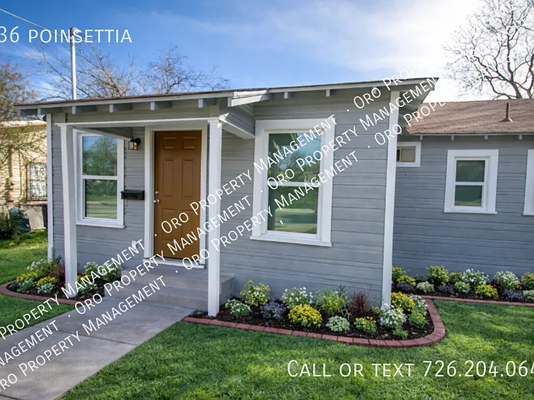 936 Poinsettia — Photo 31