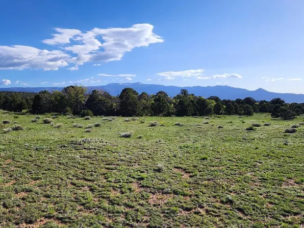 60 Colorado Land Grazing, Gardner, CO 81040