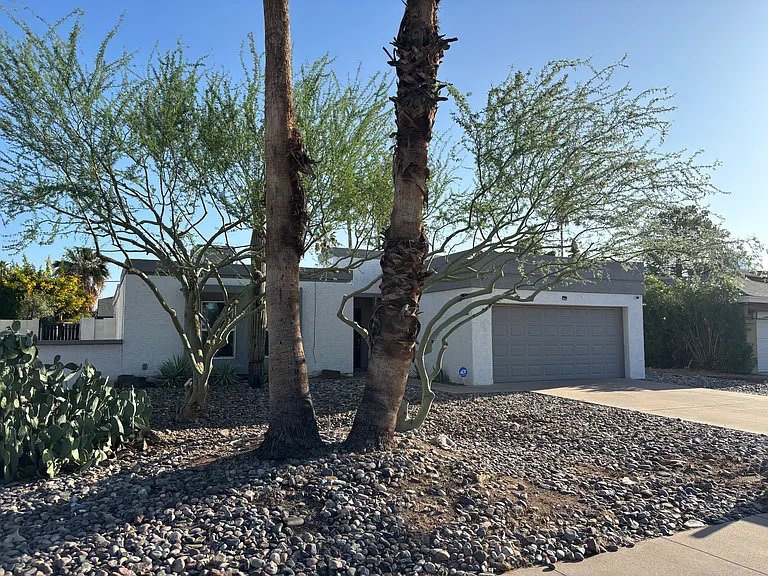 Zero scape desert landscaping... your own desert botanical garden in spring