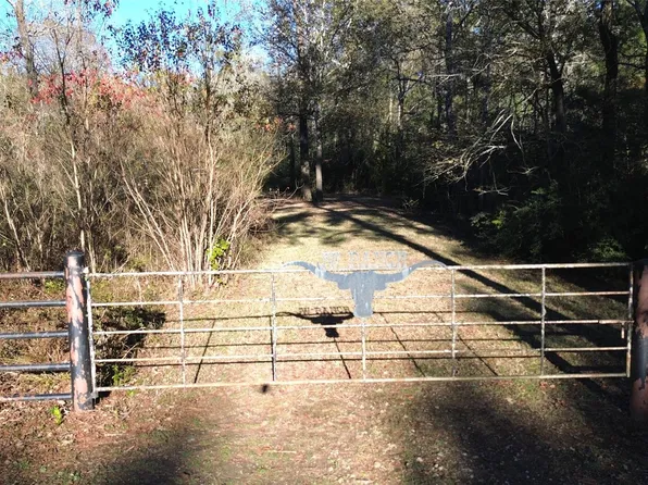 Fm 1280 E, Lovelady, TX 75851