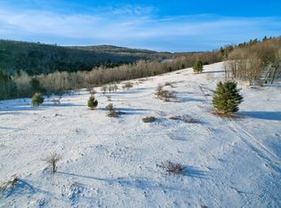 0 Bouchoux Brook Rd, Hancock, NY 13783