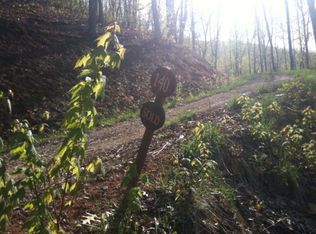 140 Ginseng Cv, Franklin, NC 28734