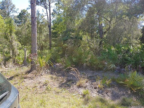 5th image of 11696 W Flaxen Dr