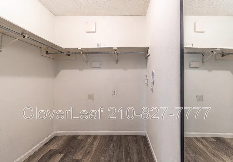 15410 Wood Sorrel — Photo 22