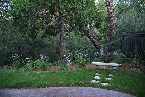 Backyard Sitting Area