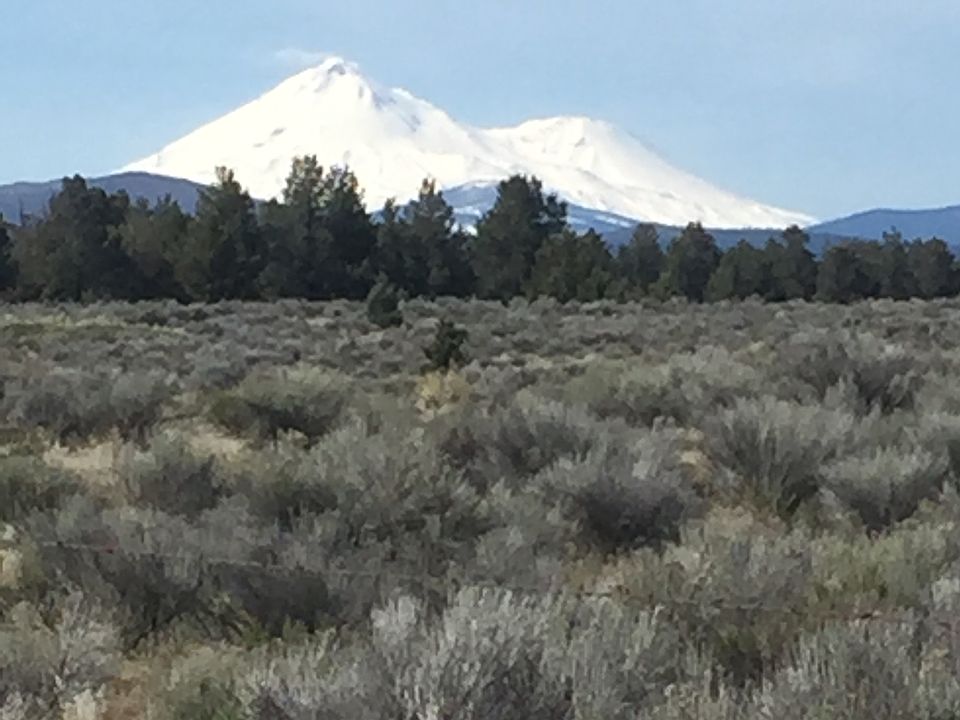 Mt Shasta view