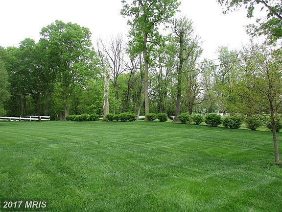 Rear yard backs to park like area