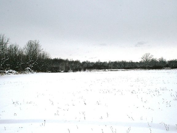 3rd image of Xxxx Hwy #169