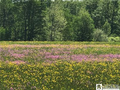 (Undisclosed Address), Ashville, NY, 14710