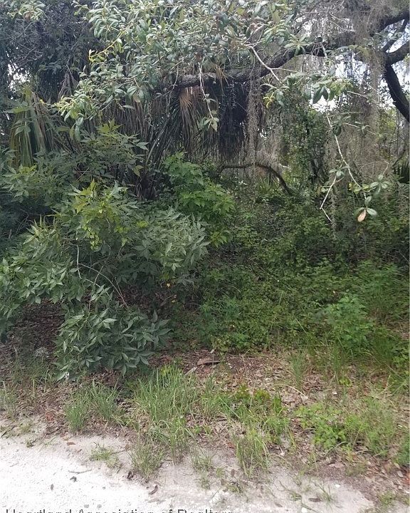 2nd image of 1216 Cacao Rd