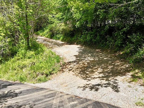 5th image of 99 Cold Fork Rd