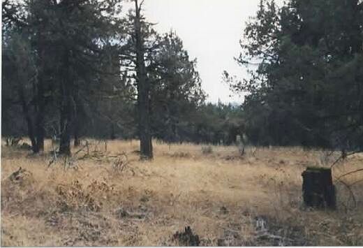 1st image of Wildhorse Dr #6