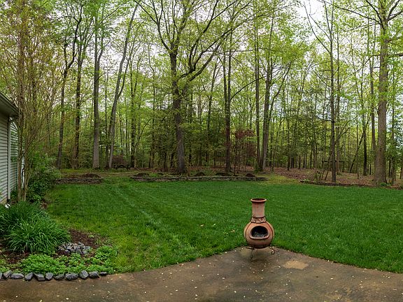 Backyard from patio.