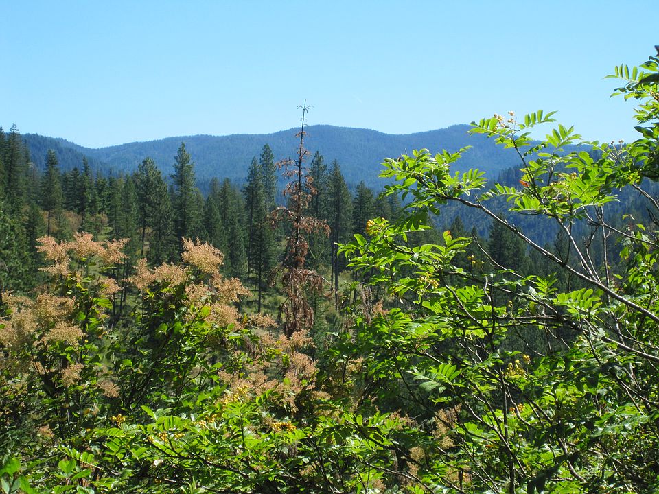 Beautiful 20 Acres with 