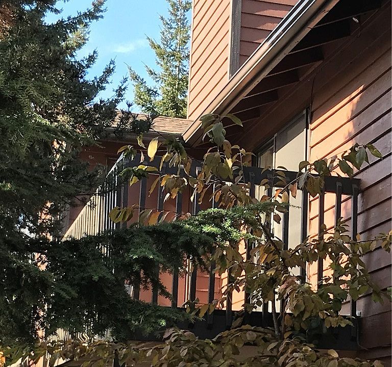 1st image of 15617 NE 18th St Unit D202