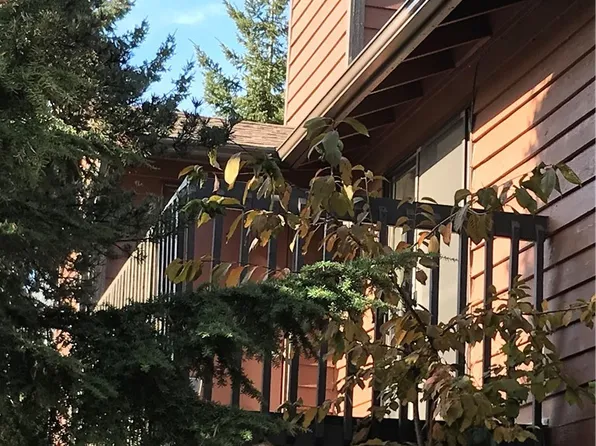 15617 NE 18th St Unit D202, Bellevue, WA 98008