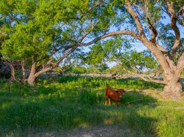 4180 Keese Rd, Fredericksburg, TX 78624