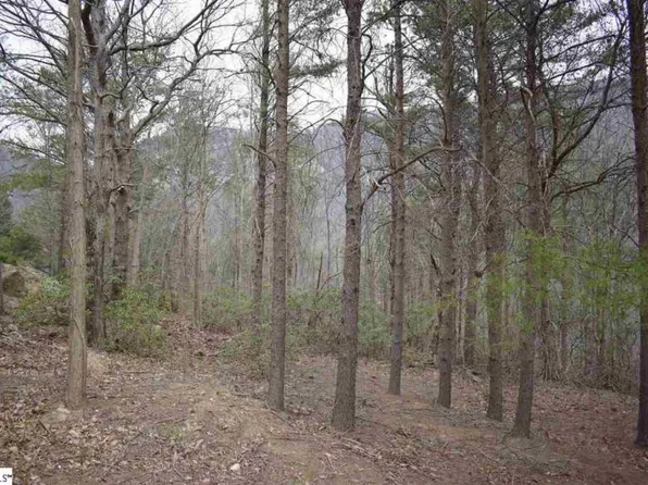 319 Foggy Cut Ln, Landrum, SC 29356