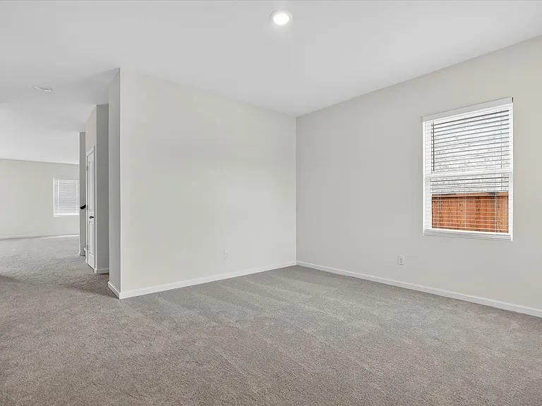 1257 Herring — Photo 14