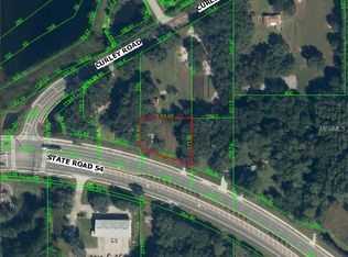 30547 State Road 54, Wesley Chapel, FL 33543