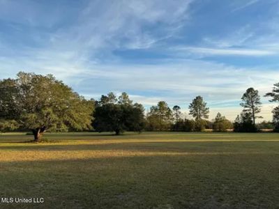 20 Anastasia Dr, Carriere, MS, 39426