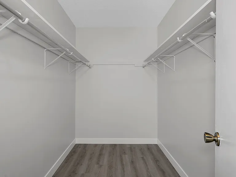 Large walk in closet in Master