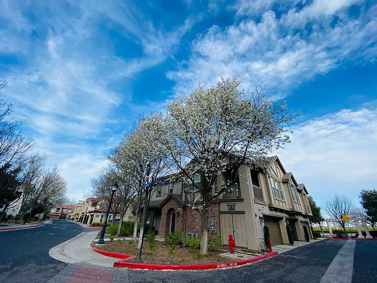 33 W Clarissa Ln — Photo 6