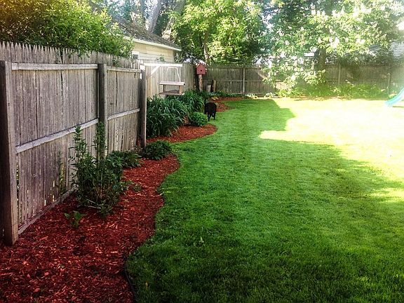 Landscaped bacy yard