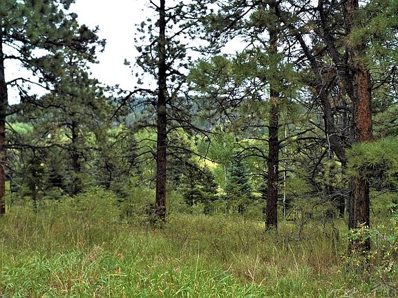 3rd image of Spanish Peaks Dr W