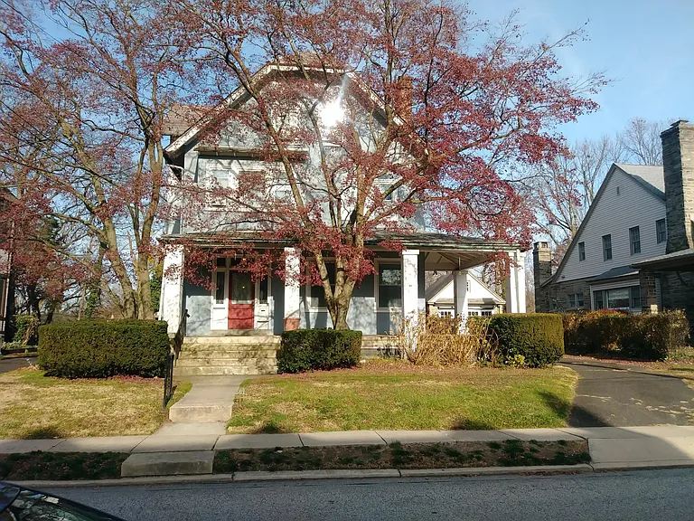331 Harrison Ave #3 — Photo 2