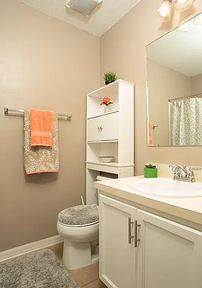 4408 Tuscan Loon Dr — Photo 9