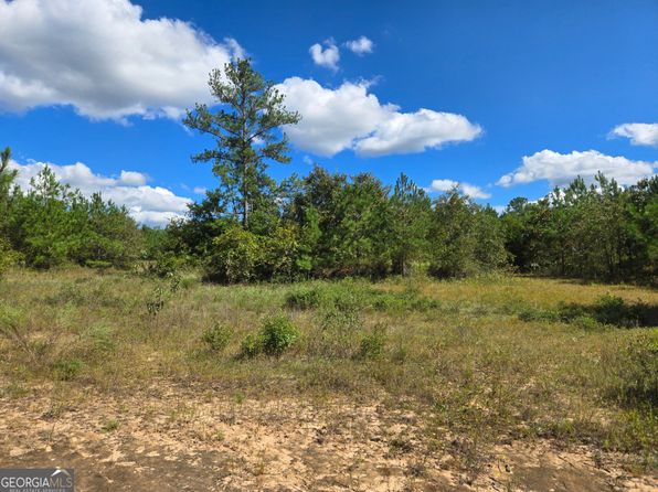 0 Eddie Edge Rd, Buena Vista, GA 31803