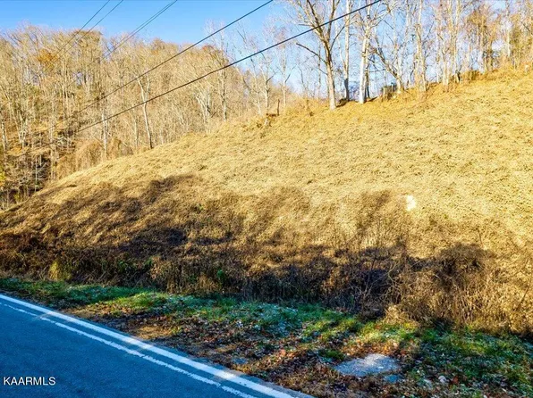 Highway 70n, Eidson, TN 37731