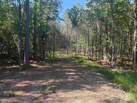 4th image of 571 Stihl Rd