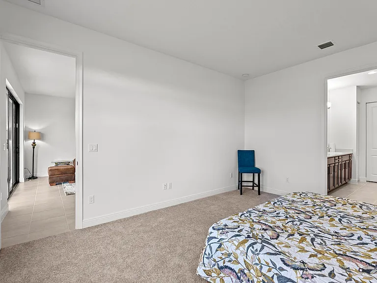 16462 Sea Turtle Pl — Photo 19