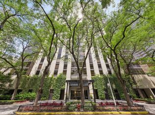 100 E Bellevue Pl APT 24E, Chicago, IL 60611