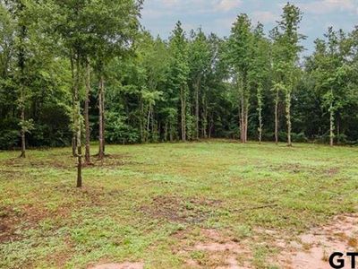 49 Private Road 7011, Frankston, TX, 75763