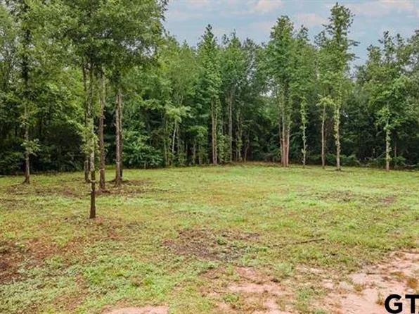 49 Private Road 7011, Frankston, TX 75763