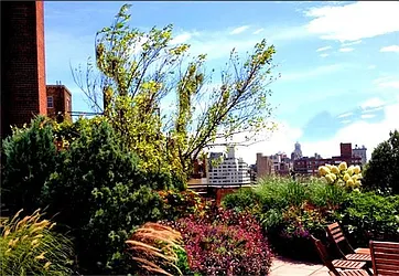 Sold by (Legacy) Elegran