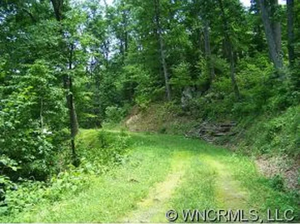 135 Rambling Ridge Rd, Asheville, NC 28804