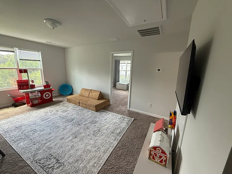 115 Little Horse Ln — Photo 10