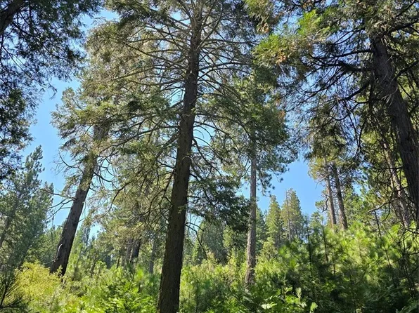 0 Lovers Ln, Cedarpines Park, CA 92322