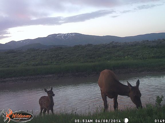 5th image of 42095 Routt County Road 44