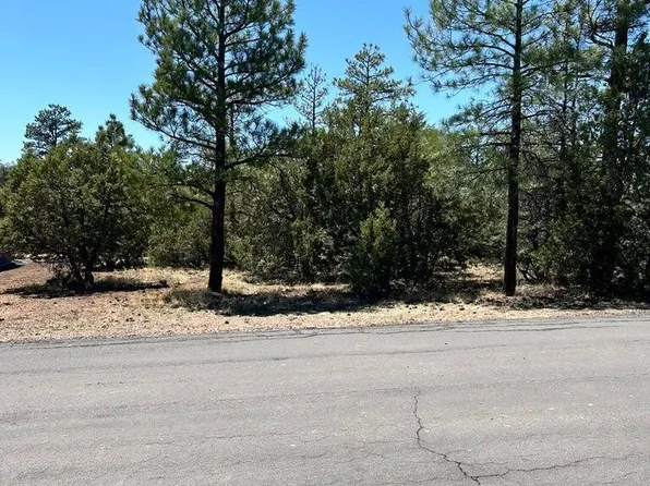 4864 BISON Trail #40, Lakeside, AZ 85929
