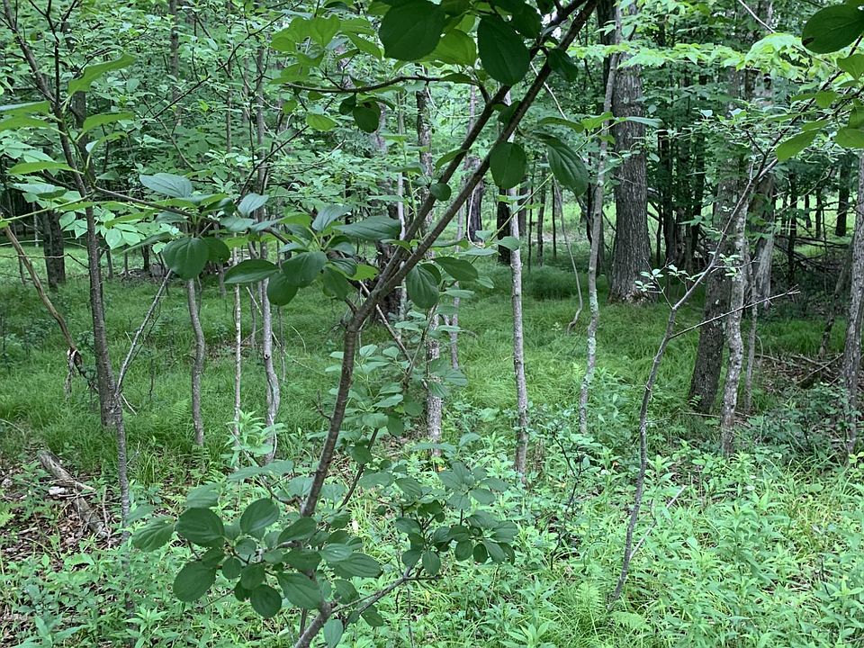 1st image of 4th Add Margaret Ln Lot 14