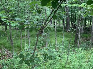 4th Add Margaret Ln Lot 14, Park Falls, WI 54552