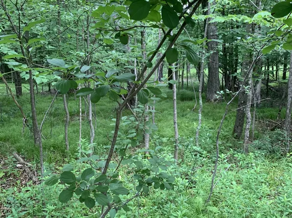 4th Add Margaret Ln Lot 14, Park Falls, WI 54552